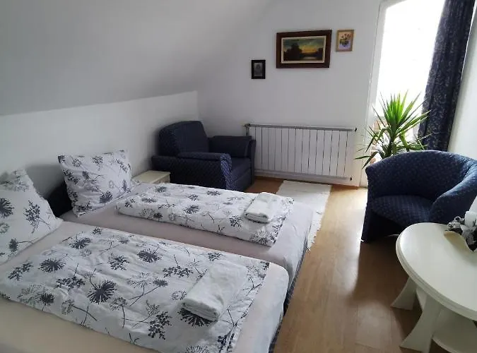 בית הארחה Gabi Maganszallashely 3*